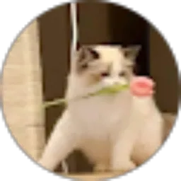 Review From Najwa azzahra