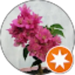 Review From Yudha Mukti