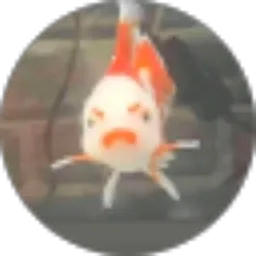 Review From Razha Mualik