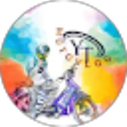 Review From YT motovlog