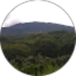 Review From Kuli Elit 91