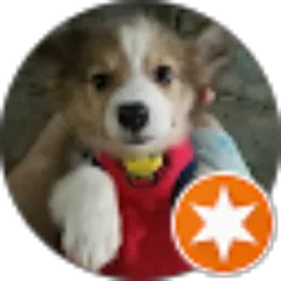 Review From Ariston Hendro Saputro