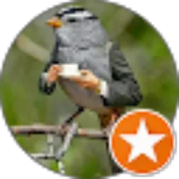 Review From Bayu Mardianto