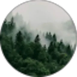 Review From Muhammad Rifky Fahriza