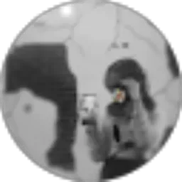 Review From Alpi Kausar