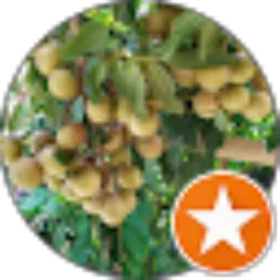 Review From bejo ganteng