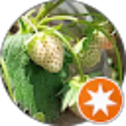 Review From R Karisza