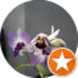 Review From Evi Sutejo