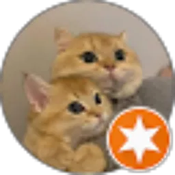 Review From Indra Ferdian