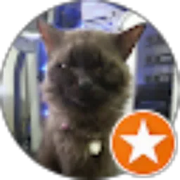 Review From DJ Enova