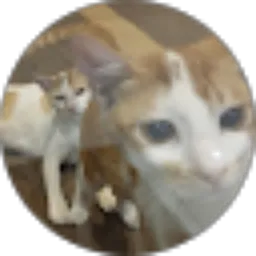 Review From Abigail Hartono