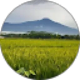 Review From Receh Receh