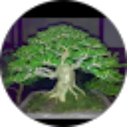 Review From Fauzi Adi Pratama Putra