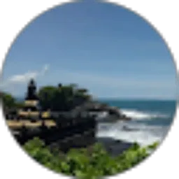 Review From Sofia Cinintya D