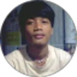 Review From joko wiwin