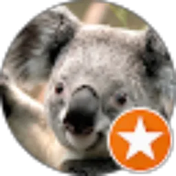 Review From Farizi Arts