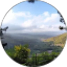 Review From auliaN R