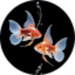 Review From zio yatra