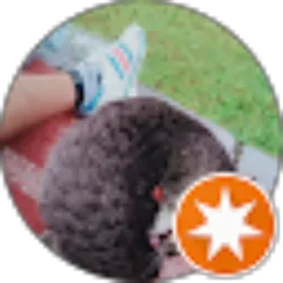 Review From Gogel Map official Ltd