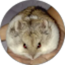 Review From Medina Rahmawati