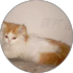 Review From Yudi Nazril