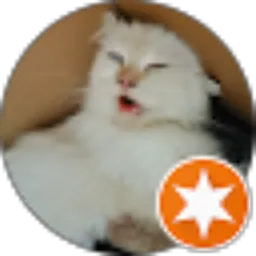 Review From Randir Darami