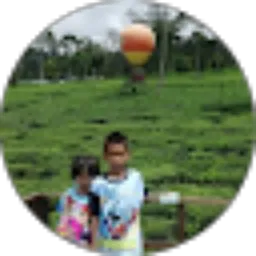 Review From Tri Martono