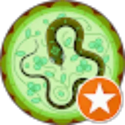 Review From Sony Anggriawan