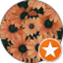 Review From Aprilia Kartika Putri