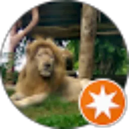 Review From Mario Bross