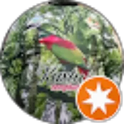 Review From Tri H Kuswoyo