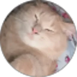 Review From novie adln