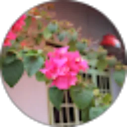 Review From kimi Nice