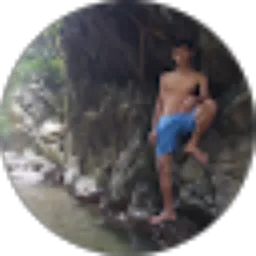 Review From Ari Budianto