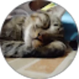 Review From De- Krist