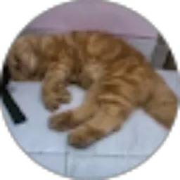 Review From thirva uthruva