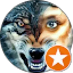 Review From Rahmat Sharoz