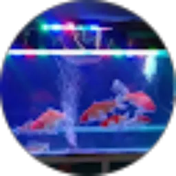 Review From Tengku syarif Maulana