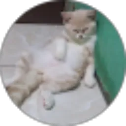 Review From Ikhwanuddin Cirebon