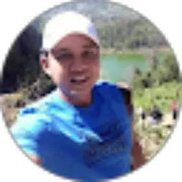 Review From Alfred L Toruan