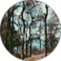 Review From Yulia Yongnardi