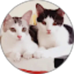 Review From Dewi Ratna