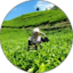 Review From Yuwana Wati