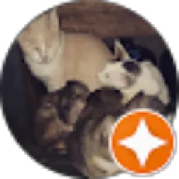 Review From Lorensius Gabriel