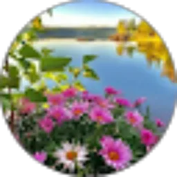 Review From Ducha Erlinda