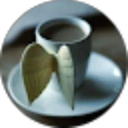 Review From Sien Hoa