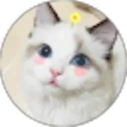 Review From BundaOctavia Evy