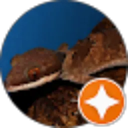 Review From iswanto kudang