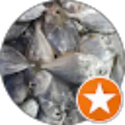 Review From ryp bin emzi bin ahmad