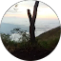 Review From Ahmad Puji